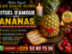 Rituel d’amour avec ananas du voyant Alain Azalou Olowo